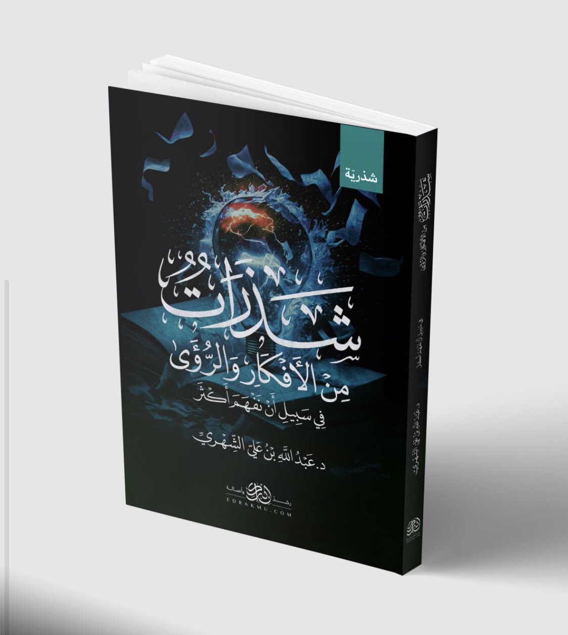 شذرات من الأفكار والرؤى – في سبيل أن نفهم أكثر!